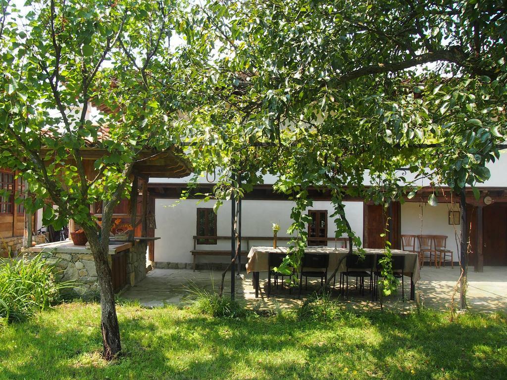 מלון Mindya Terra House מראה חיצוני תמונה